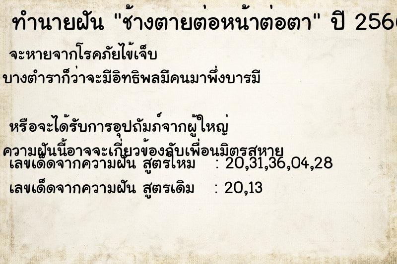 ทำนายฝันช้างตายต่อหน้าต่อตา ทำนายฝันทำนายฝันช้างตายต่อหน้าต่อตา