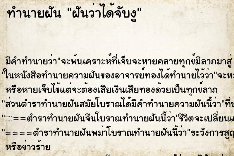 ทำนายฝัน ฝันว่าได้จับงู ทำนายฝัน ฝันว่าได้จับงู