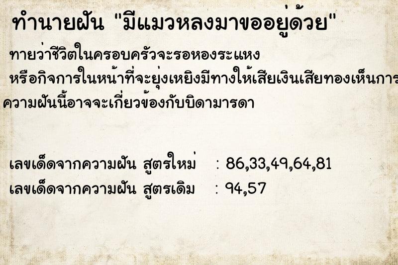 ทำนายฝันทำนายฝันมีแมวหลงมาขออยู่ด้วย