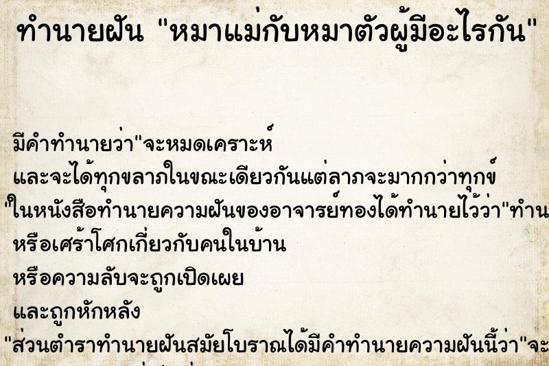 ทำนายฝันหมาแม่กับหมาตัวผู้มีอะไรกัน ทำนายฝันทำนายฝันหมาแม่กับหมาตัวผู้มีอะไรกัน