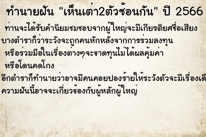 ทำนายฝันทำนายฝันเห็นเต่า2ตัวซ้อนกัน