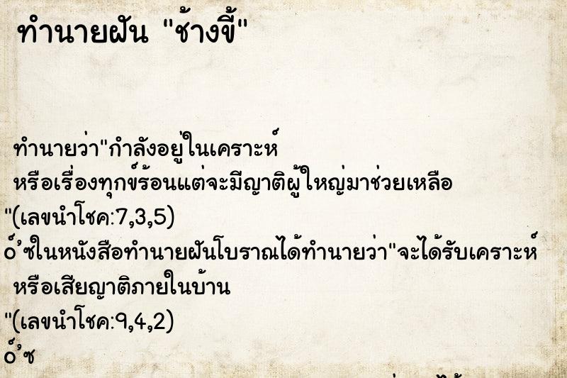 ทำนายฝันช้างขี้ ทำนายฝันทำนายฝันช้างขี้