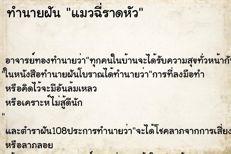 ทำนายฝันทำนายฝันแมวฉี่ราดหัว