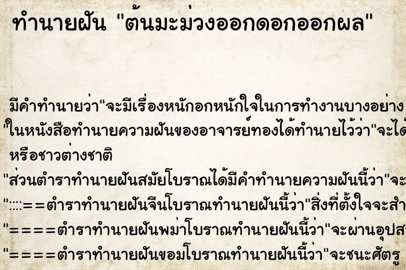 ทำนายฝันต้นมะม่วงออกดอกออกผล ทำนายฝันทำนายฝันต้นมะม่วงออกดอกออกผล