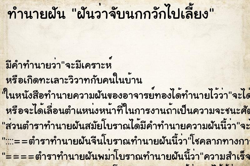 ทำนายฝัน ฝันว่าจับนกกวักไปเลี้ยง ทำนายฝัน ฝันว่าจับนกกวักไปเลี้ยง