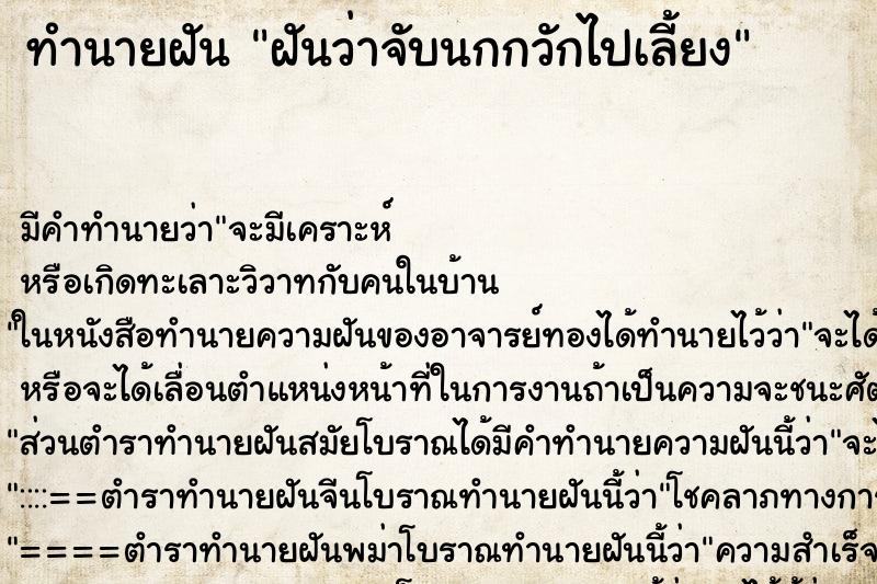 ทำนายฝัน ฝันว่าจับนกกวักไปเลี้ยง ตำราโบราณ แม่นที่สุดในโลก