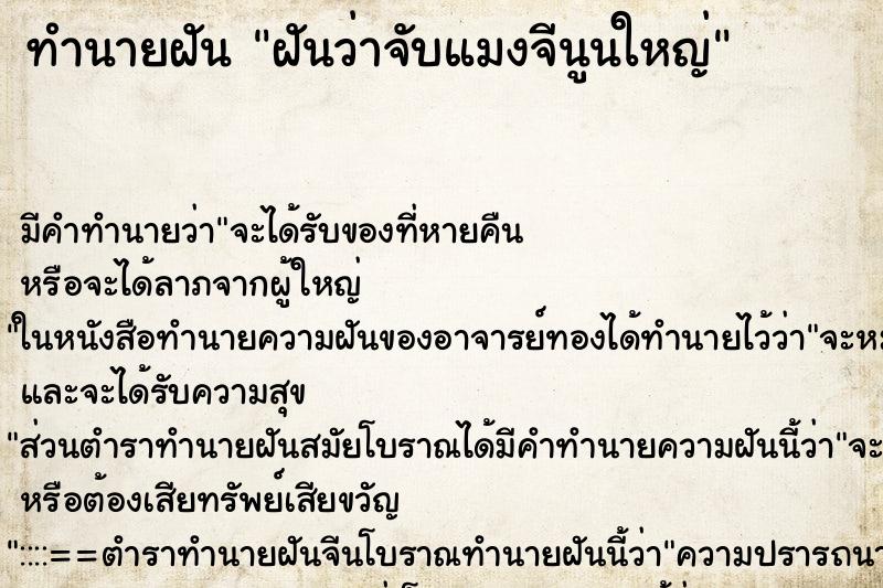 ทำนายฝัน ฝันว่าจับแมงจีนูนใหญ่ ตำราโบราณ แม่นที่สุดในโลก