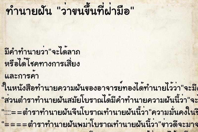 ทำนายฝัน ว่าขนขึ้นที่ฝ่ามือ ทำนายฝัน ว่าขนขึ้นที่ฝ่ามือ
