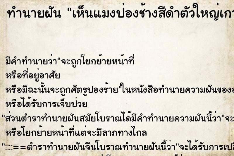ทำนายฝันทำนายฝันเห็นแมงป่องช้างสีดำตัวใหญ่เกาะที่ตัว