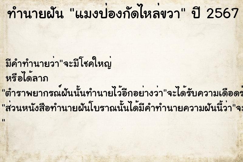 ทำนายฝัน แมงป่องกัดไหล่ขวา ทำนายฝัน แมงป่องกัดไหล่ขวา