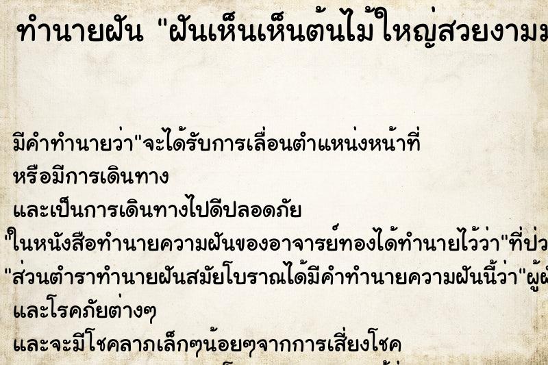 ทำนายฝันฝันเห็นเห็นต้นไม้ใหญ่สวยงามมากเป็นประกาย ทำนายฝันทำนายฝันฝันเห็นเห็นต้นไม้ใหญ่สวยงามมากเป็นประกาย