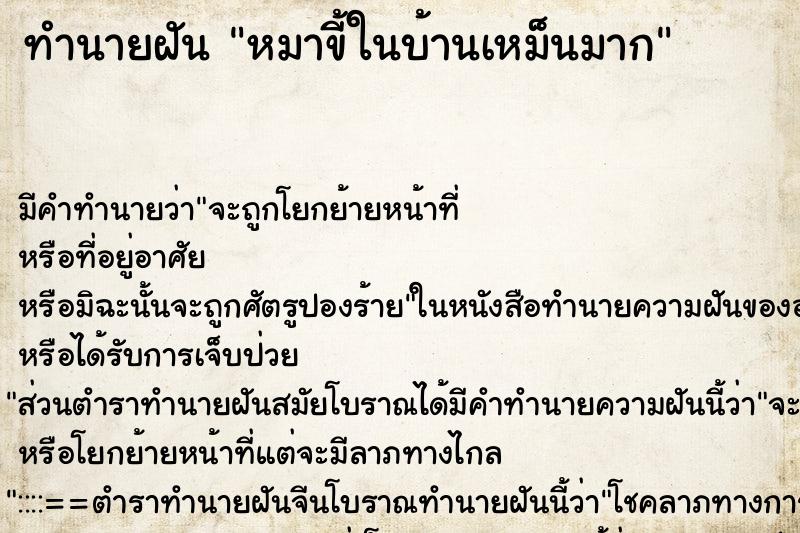 ทำนายฝัน หมาขี้ในบ้านเหม็นมาก
