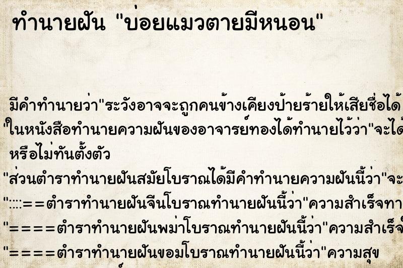 ทำนายฝันบ่อยแมวตายมีหนอน ทำนายฝันทำนายฝันบ่อยแมวตายมีหนอน