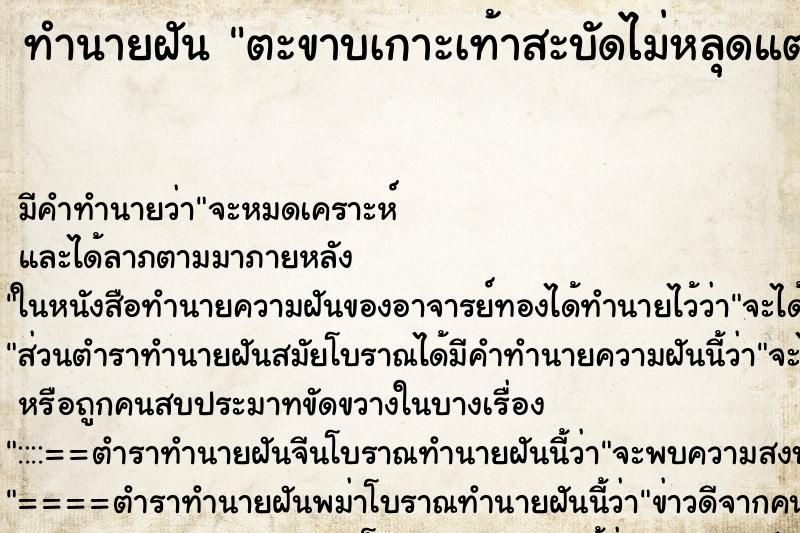 ทำนายฝัน ตะขาบเกาะเท้าสะบัดไม่หลุดแต่ไม่กัด ทำนายฝัน ตะขาบเกาะเท้าสะบัดไม่หลุดแต่ไม่กัด
