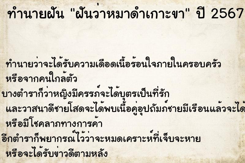 ทำนายฝันทำนายฝันฝันว่าหมาดำเกาะขา
