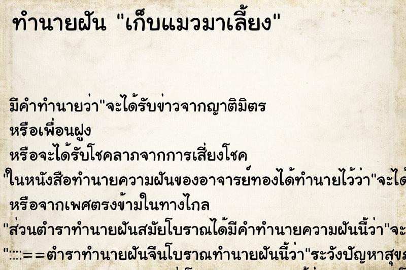 ทำนายฝัน เก็บแมวมาเลี้ยง ทำนายฝัน เก็บแมวมาเลี้ยง