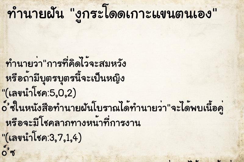 ทำนายฝันงูกระโดดเกาะแขนตนเอง ทำนายฝันทำนายฝันงูกระโดดเกาะแขนตนเอง