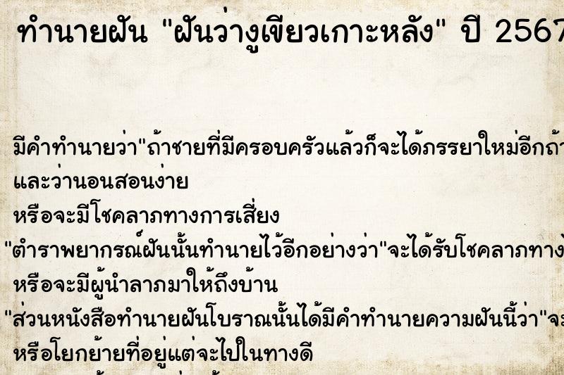 ทำนายฝันฝันว่างูเขียวเกาะหลัง ทำนายฝันทำนายฝันฝันว่างูเขียวเกาะหลัง