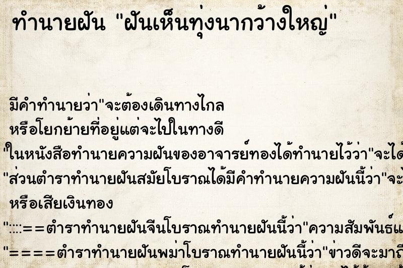 ทำนายฝัน ฝันเห็นทุ่งนากว้างใหญ่ ทำนายฝัน ฝันเห็นทุ่งนากว้างใหญ่
