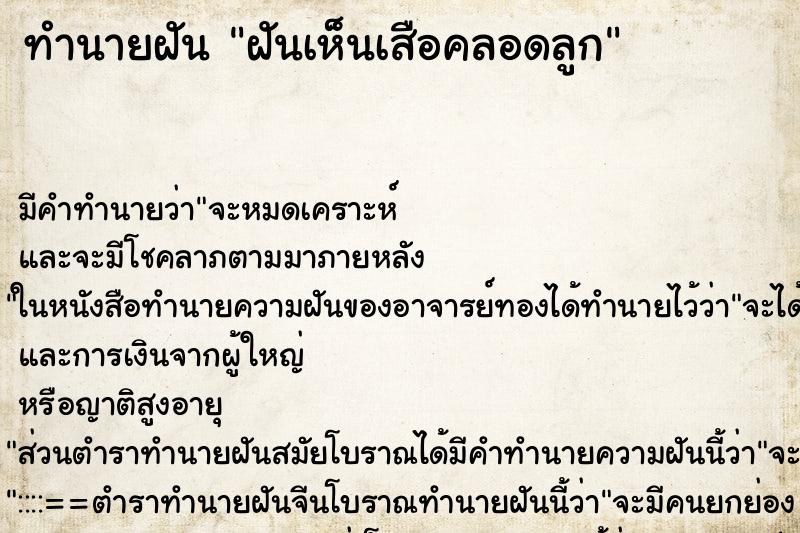 ทำนายฝัน ฝันเห็นเสือคลอดลูก ทำนายฝัน ฝันเห็นเสือคลอดลูก