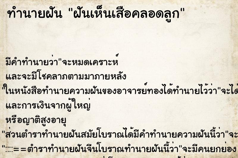 ทำนายฝัน ฝันเห็นเสือคลอดลูก ตำราโบราณ แม่นที่สุดในโลก