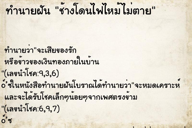 ทำนายฝันช้างโดนไฟไหม้ไม่ตาย ทำนายฝันทำนายฝันช้างโดนไฟไหม้ไม่ตาย