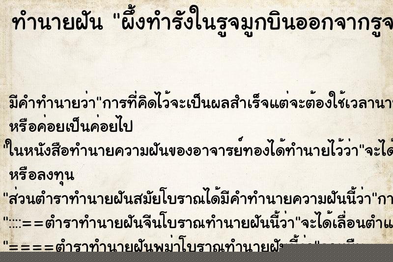 ทำนายฝัน ผึ้งทำรังในรูจมูกบินออกจากรูจมูกตัวเรา ทำนายฝัน ผึ้งทำรังในรูจมูกบินออกจากรูจมูกตัวเรา