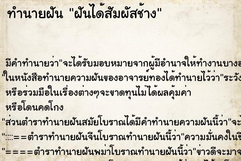 ทำนายฝัน ฝันได้สัมผัสช้าง ทำนายฝัน ฝันได้สัมผัสช้าง