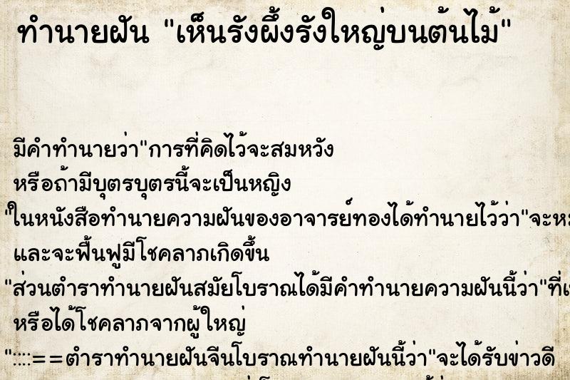 ทำนายฝัน เห็นรังผึ้งรังใหญ่บนต้นไม้ ตำราโบราณ แม่นที่สุดในโลก