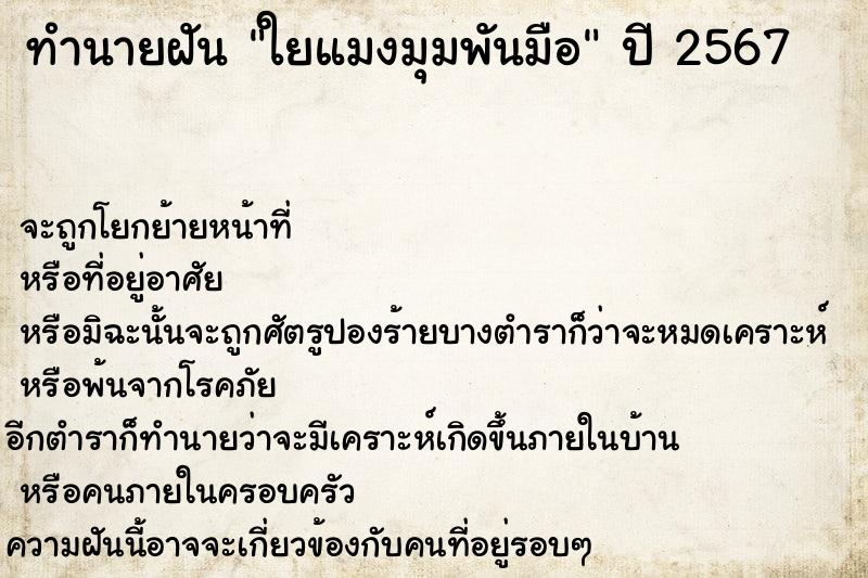ทำนายฝันใยแมงมุมพันมือ ทำนายฝันทำนายฝันใยแมงมุมพันมือ