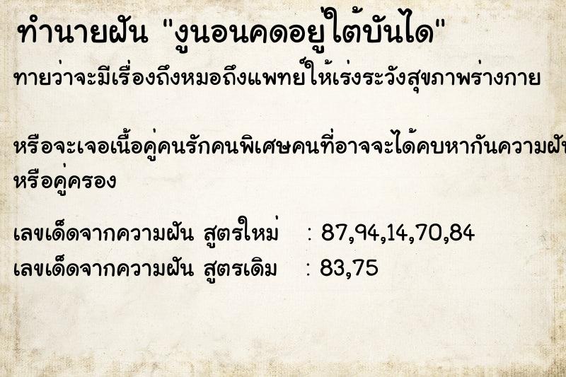 ทำนายฝัน งูนอนคดอยู่ใต้บันได ทำนายฝัน งูนอนคดอยู่ใต้บันได