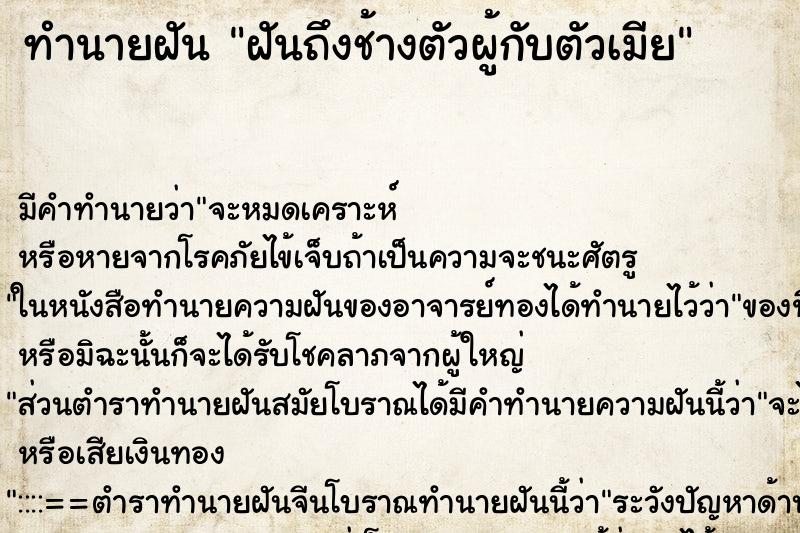 ทำนายฝัน ฝันถึงช้างตัวผู้กับตัวเมีย ทำนายฝัน ฝันถึงช้างตัวผู้กับตัวเมีย