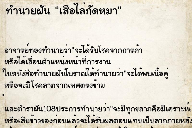 ทำนายฝัน เสือไล่กัดหมา ตำราโบราณ แม่นที่สุดในโลก