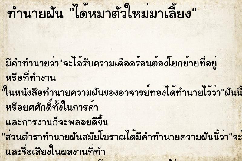 ทำนายฝัน ได้หมาตัวใหม่มาเลี้ยง ตำราโบราณ แม่นที่สุดในโลก