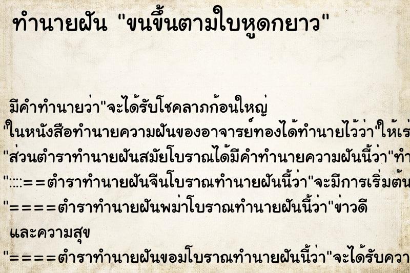 ทำนายฝันทำนายฝันขนขึ้นตามใบหูดกยาว