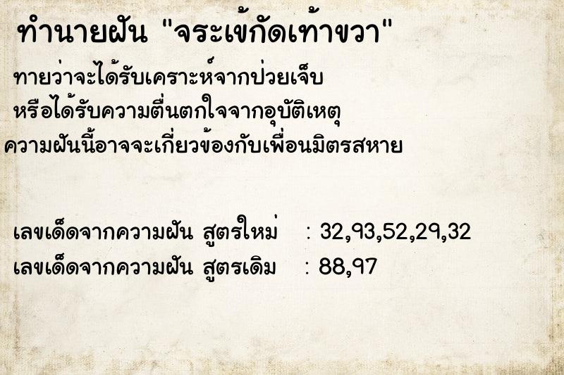 ทำนายฝันจระเข้กัดเท้าขวา ทำนายฝันทำนายฝันจระเข้กัดเท้าขวา