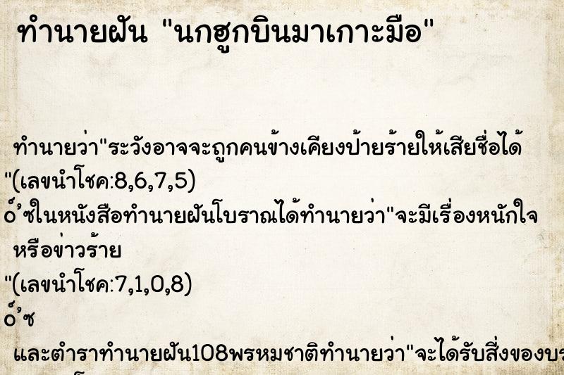 ทำนายฝัน นกฮูกบินมาเกาะมือ
