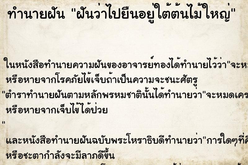 ทำนายฝันฝันว่าไปยืนอยู่ใต้ต้นไม้ใหญ่ ทำนายฝันทำนายฝันฝันว่าไปยืนอยู่ใต้ต้นไม้ใหญ่