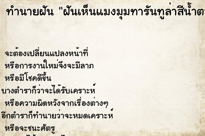 ทำนายฝันฝันเห็นแมงมุมทารันทูล่าสีน้ำตาลกัด ทำนายฝันทำนายฝันฝันเห็นแมงมุมทารันทูล่าสีน้ำตาลกัด