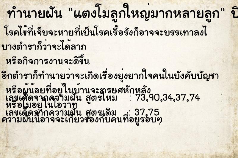 ทำนายฝัน แตงโมลูกใหญ่มากหลายลูก ทำนายฝัน แตงโมลูกใหญ่มากหลายลูก