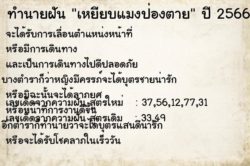 ทำนายฝันเหยียบแมงป่องตาย ทำนายฝันทำนายฝันเหยียบแมงป่องตาย