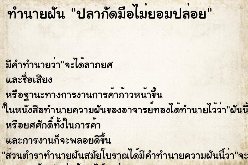 ทำนายฝัน ปลากัดมือไม่ยอมปล่อย ทำนายฝัน ปลากัดมือไม่ยอมปล่อย