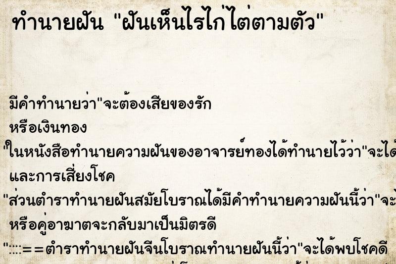 ทำนายฝัน ฝันเห็นไรไก่ไต่ตามตัว