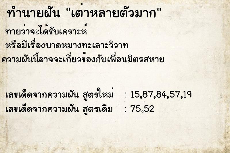 ทำนายฝัน เต่าหลายตัวมาก