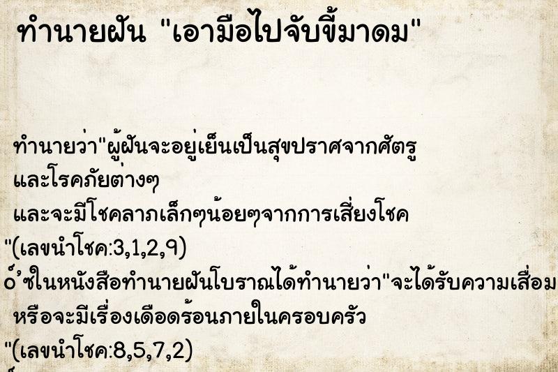 ทำนายฝันเอามือไปจับขี้มาดม ทำนายฝันทำนายฝันเอามือไปจับขี้มาดม