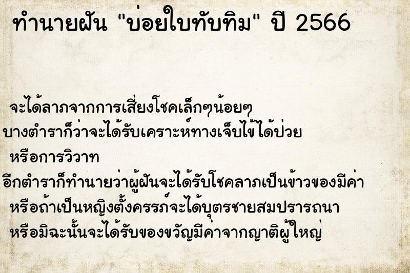 ทำนายฝันบ่อยใบทับทิม ทำนายฝันทำนายฝันบ่อยใบทับทิม