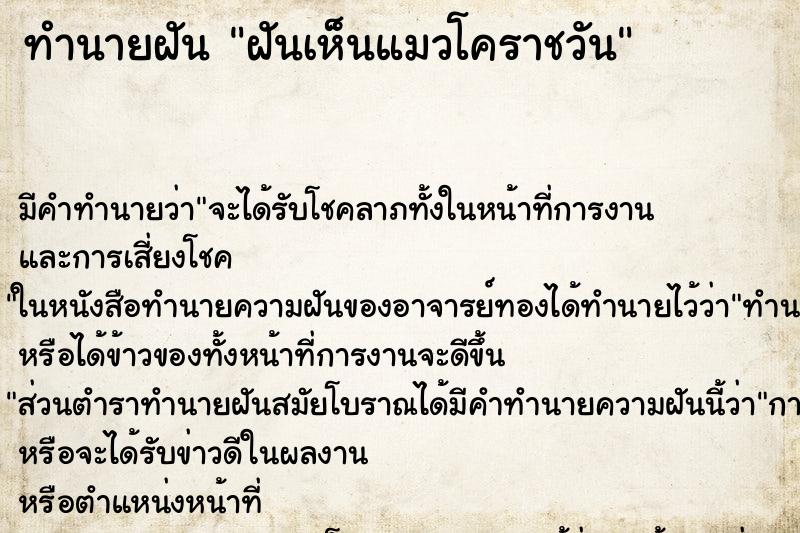 ทำนายฝันฝันเห็นแมวโคราชวัน ทำนายฝันทำนายฝันฝันเห็นแมวโคราชวัน