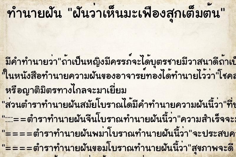ทำนายฝัน ฝันว่าเห็นมะเฟืองสุกเต็มต้น ทำนายฝัน ฝันว่าเห็นมะเฟืองสุกเต็มต้น