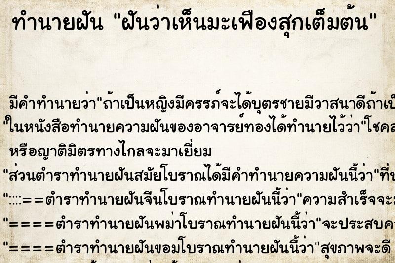 ทำนายฝัน ฝันว่าเห็นมะเฟืองสุกเต็มต้น ตำราโบราณ แม่นที่สุดในโลก