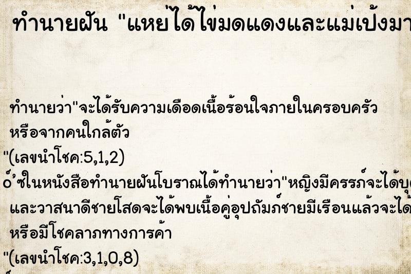 ทำนายฝันแหย่ได้ไข่มดแดงและแม่เป้งมากๆ ทำนายฝันทำนายฝันแหย่ได้ไข่มดแดงและแม่เป้งมากๆ